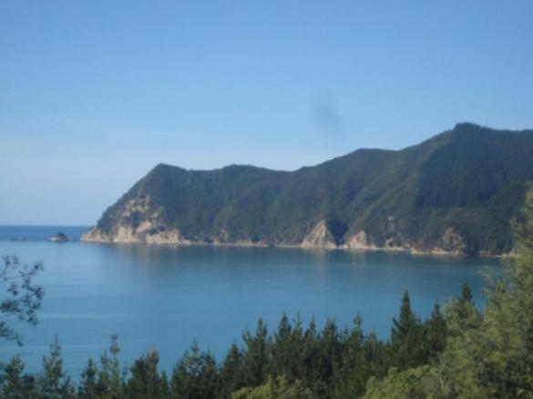 Waipiro Bay Paradise Bed & Breakfast Te Puia Exterior photo